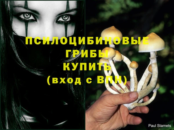 амф Абаза