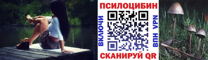 МЕГА ТОР  Ковдор  Галлюциногенные грибы Magic Shrooms 
