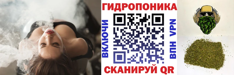 купить наркотик  Ковдор  Шишки марихуана конопля 